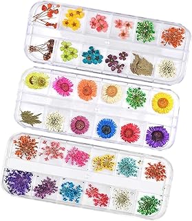 minkissy 3 Caixas Mini Flores De Resina Adesivos Para Meninas Flores De Unhas Secas Decoração Botânica Pequenas Flores Adesivos De Unhas Kit De Decoração De Arte De Unhas Flores Secas Para