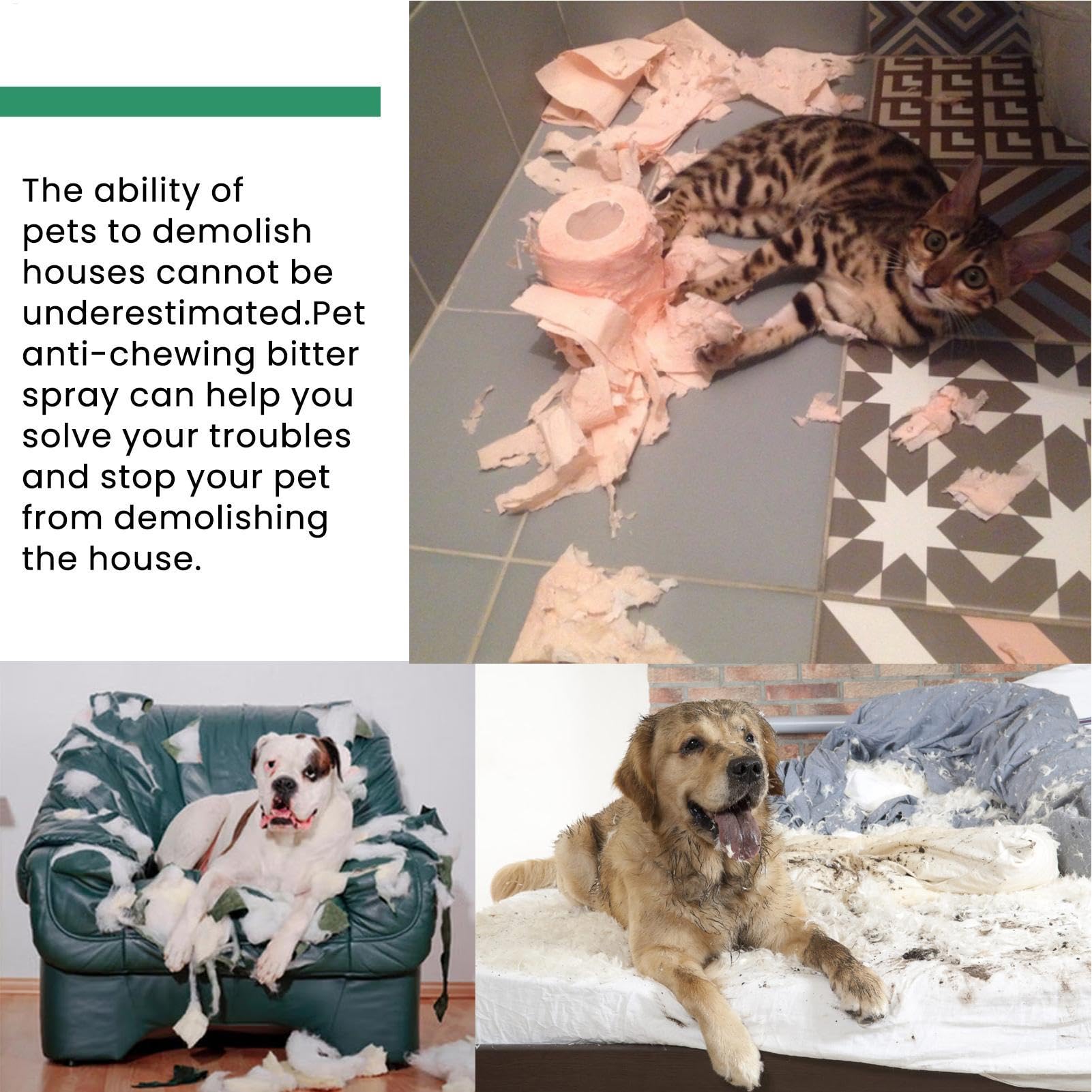 Spray anti-mastication et léchage pour chien, anti-mastication amer pour aider à l'entraînement comportemental, spray naturel et efficace pour arrêter de mâcher le léchage des meubles,