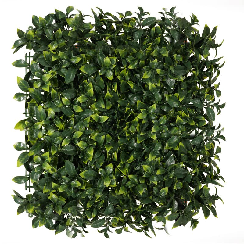 BeautifulWalls Plastic Artificial Wall Grass For Home Decoration (9 Pcs) I Grass Mat For Wall I Vertical Garden Artificial Wall Plants (Lemon Green, 50Cm X 50Cm X 5Cm, Pack Of 9) (B09FKZ291W) Amazon Price History, Amazon Price Tracker