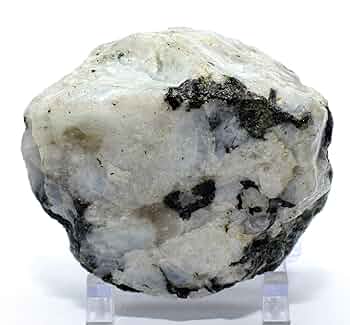 【matt bonner】リザードン クリスタルタイプ ScreenShot2022-08-03at8.57.