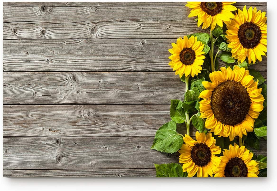 Front Door Mat Rugs Entryway 18" X 30" Large Indoor Doormat