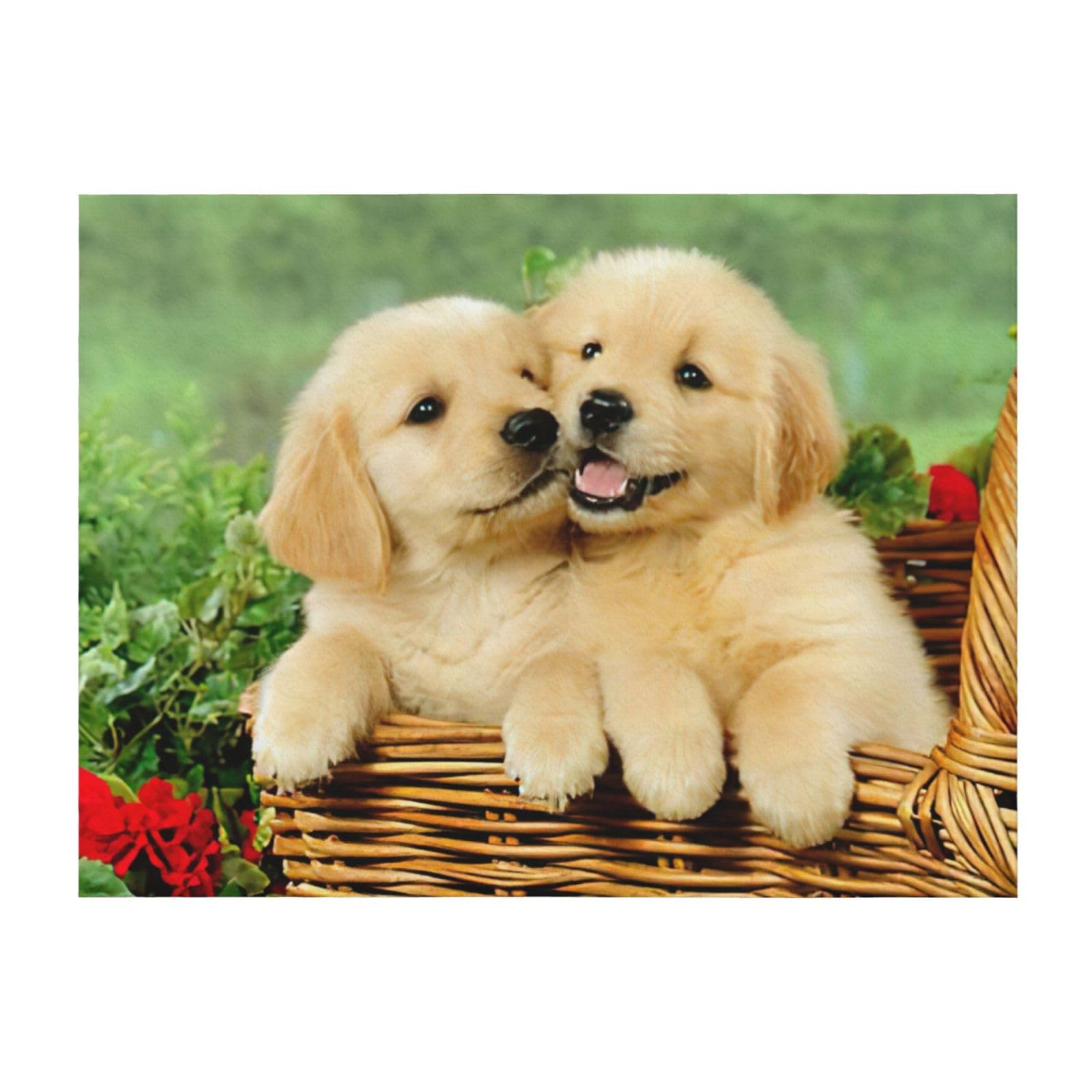 Couverture de lit en microfibre légère plaid chiot golden retriever EdWal