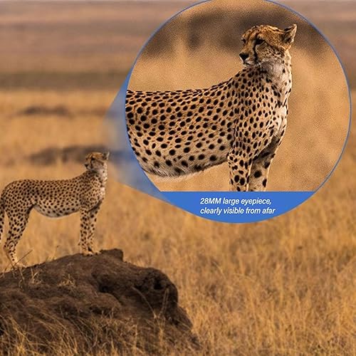 Miniatura 2 de 10x Magnification Binoculars with Large Aperture Objective Lens, 10x Telephoto Lens, Multi Layer Coating, for Bird Watching and Long Distance