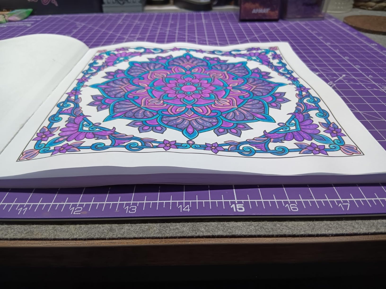 Mandalas With Beautiful Borders Volume 6: Mandala coloring book for ...