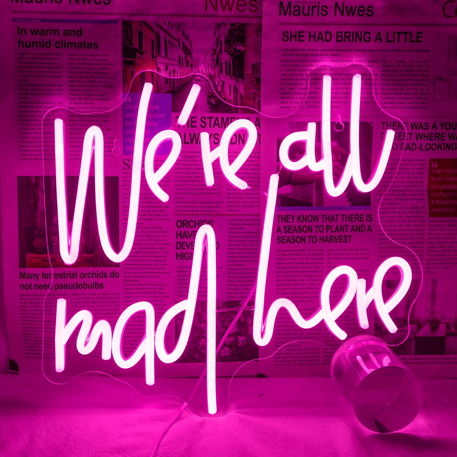 WLHOPE We're All Mad Here Neon Sign, Dimmable LED Neon Signs For Wall Decor,Connectivity Via USB Neon Light For Bedroom Home Dorm Wall Wedding Party Bar Pub Salon Decoration,Personalized Gift โ image 1