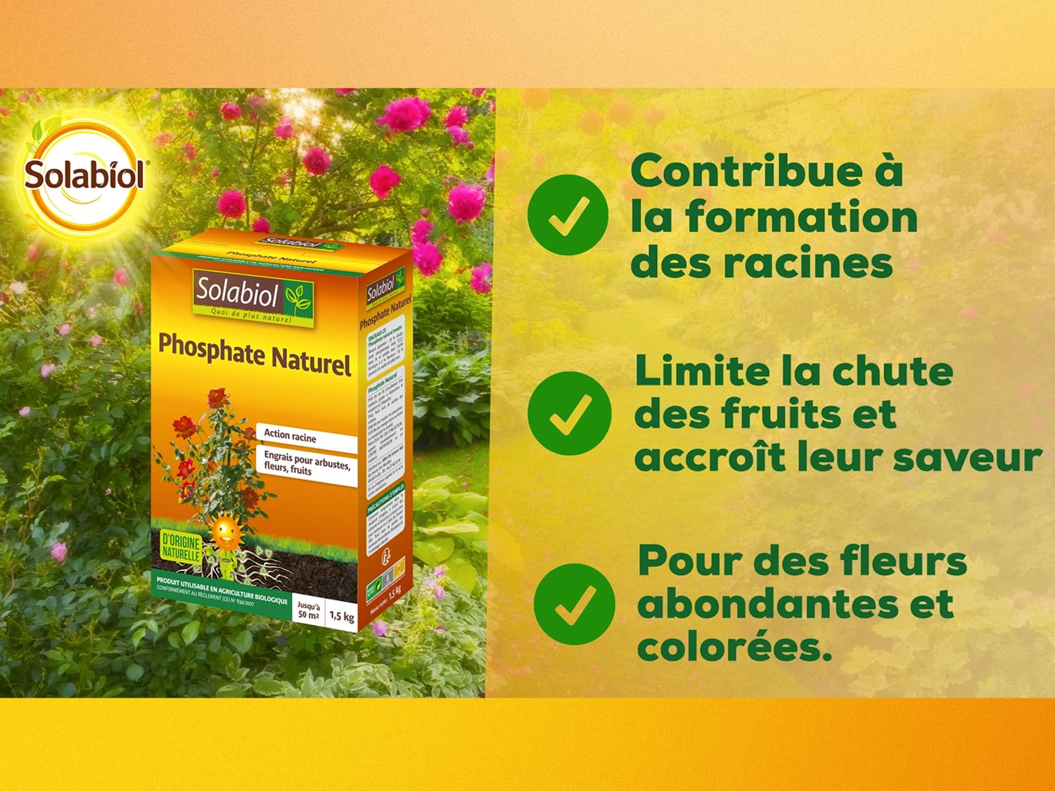 SOLABIOL Engrais Phosphate Naturel - 2x1,5Kg - Jusqu'à 50m² - Améliore La Floraison - Optimise La Formation Des Racines - Pour Toutes Les Cultures - Utilisable En Agriculture Biologique