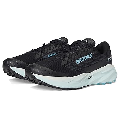 Brooks Cascadia 19 GTX(r) Women