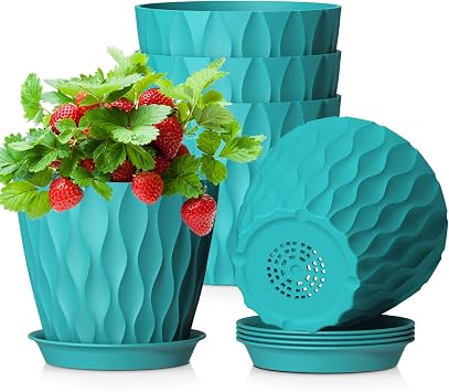 WSMKSZ 12.7 cm Indoor Flower Pots Set of 5 Small Plastic Plant Pots