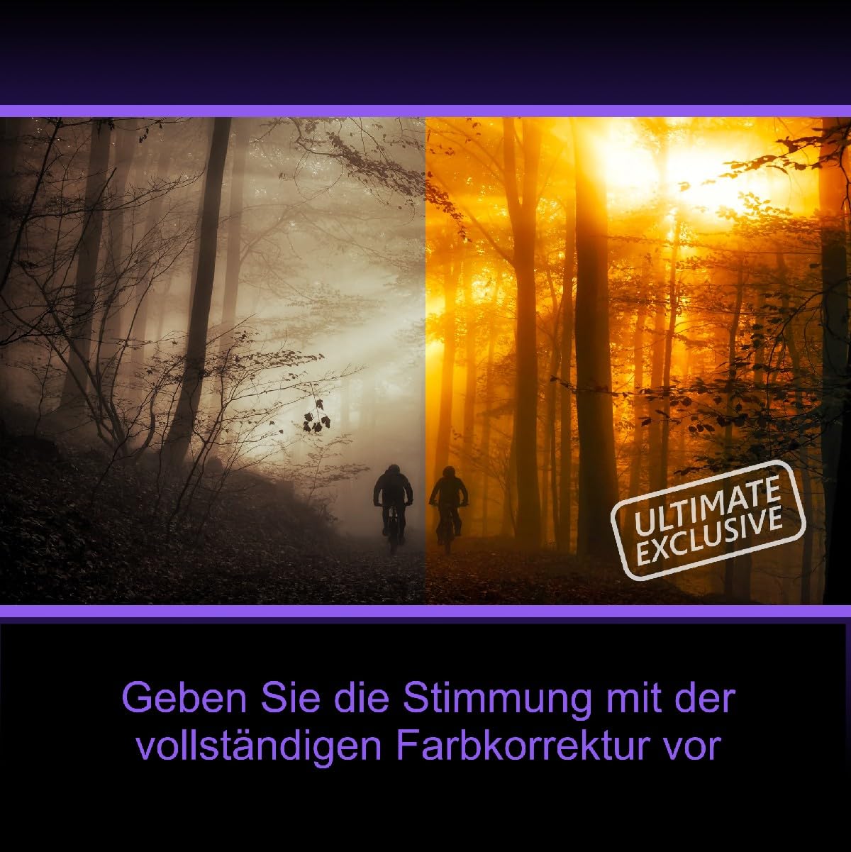 Pinnacle Studio 26 ULTIMATE *Dauerlizenz* Windows DE / ML / Videobearbeitung #PKC