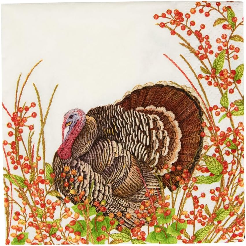 Caspari Turkey And Berries Cocktail Napkins 20 Per