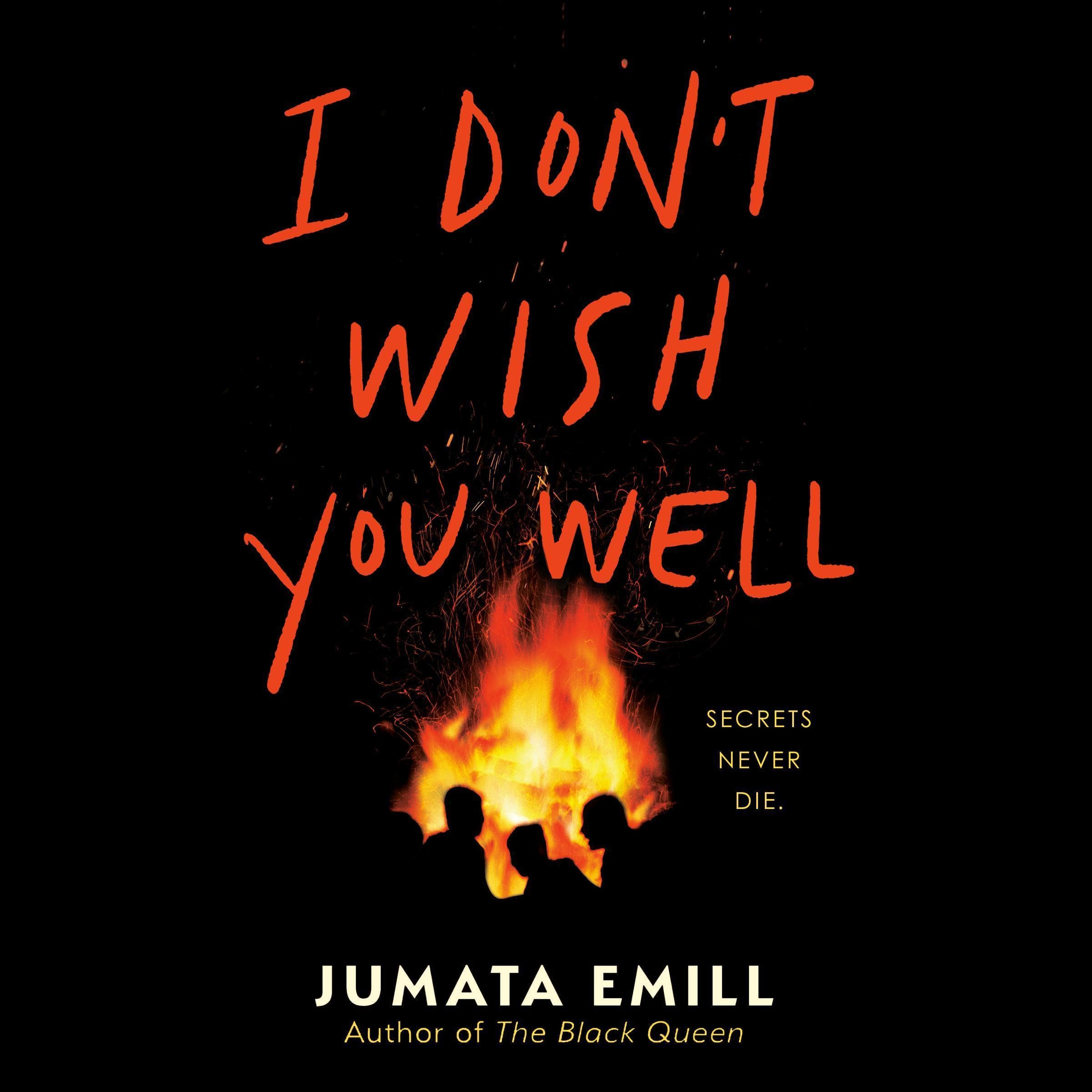 Cover art for I Don't Wish You Well