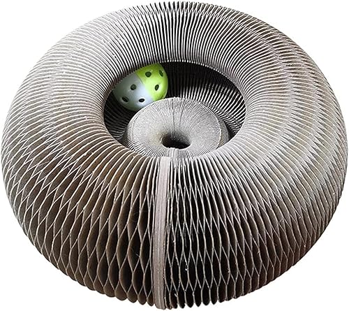 Rutexc Lp܂Ƃ - 2-in-1j[N`܂ƂA@̃IKfUCAC^NeBu܂Ƃg[jOߋAt{[t (24x24x10cm)
