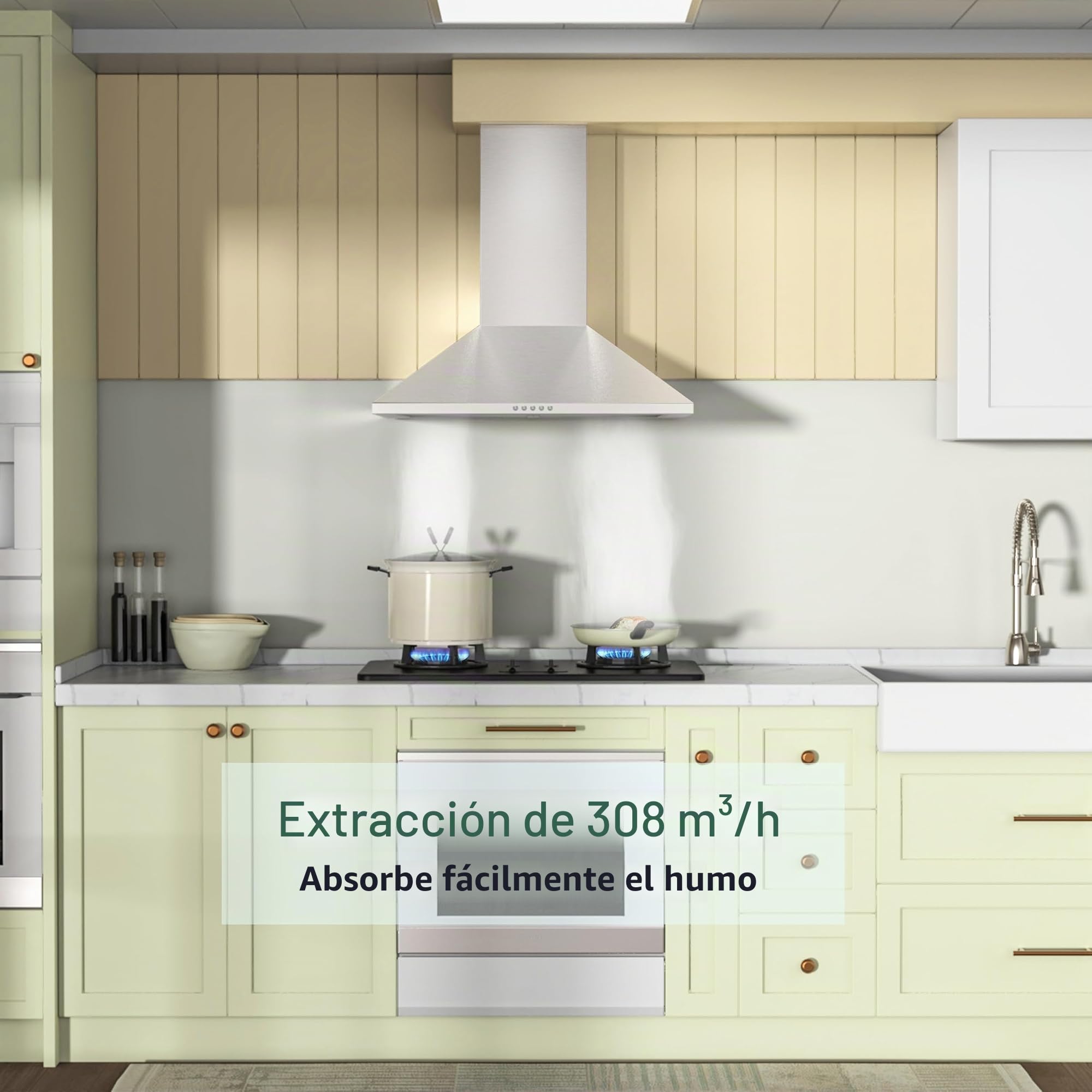 FIREGAS campana extractora 60cm 308m³/h con filtro de carbón activado CC110 plata 3 niveles de potencia extracción aire circulante montaje en pared
