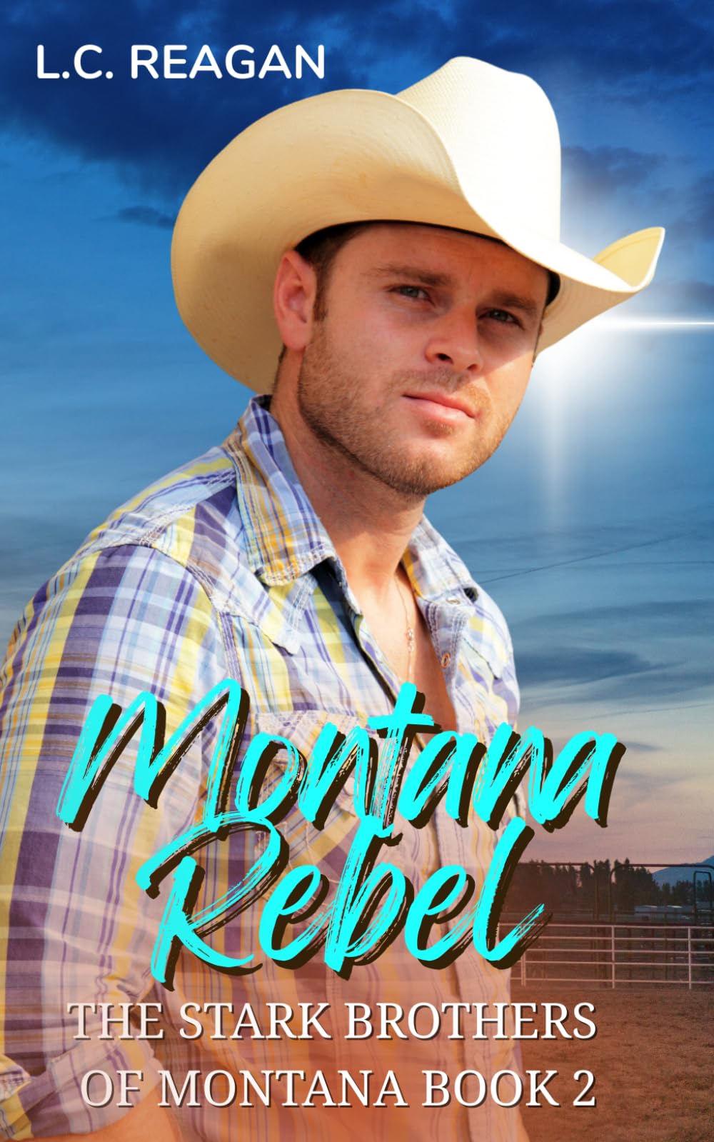 Montana Rebel: An Enemies-to-Lovers Cowboy Romance (Colton’s Story) (The Stark Brothers of Montana)