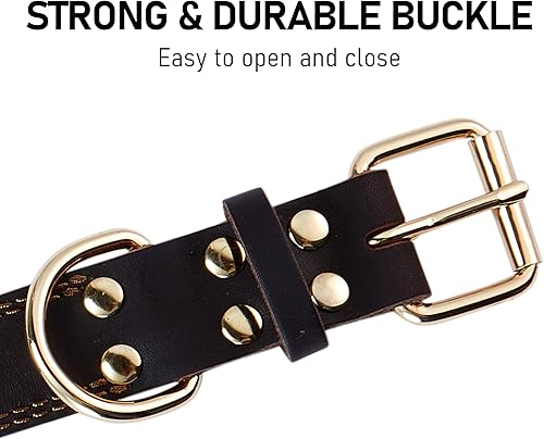 Miniatura 9 de Collar de perro de cuero para perros medianos con correa de perro de cuero trenzado de 6 pies x 1/2 pulgadas