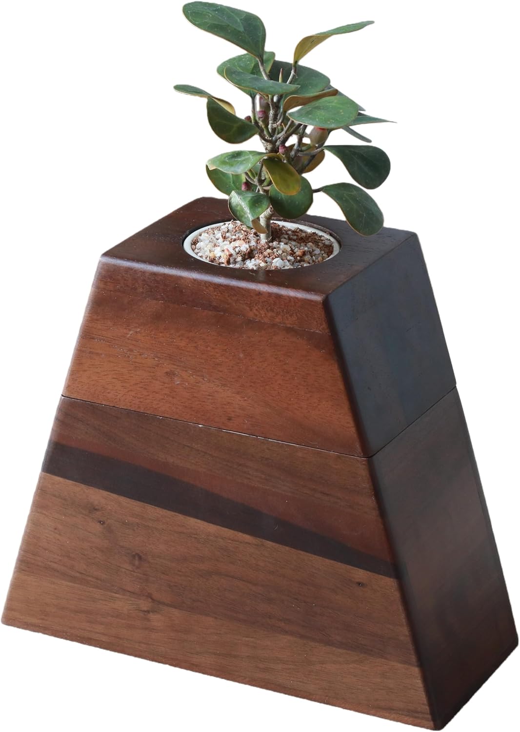 Walnut Wooden Urn for Adult Human Ashes with Removable Planter Lid- Handcrafted Plant Urn for Loved Ones and Beloved Pets, Cremation Wooden Urn by Miaowooy