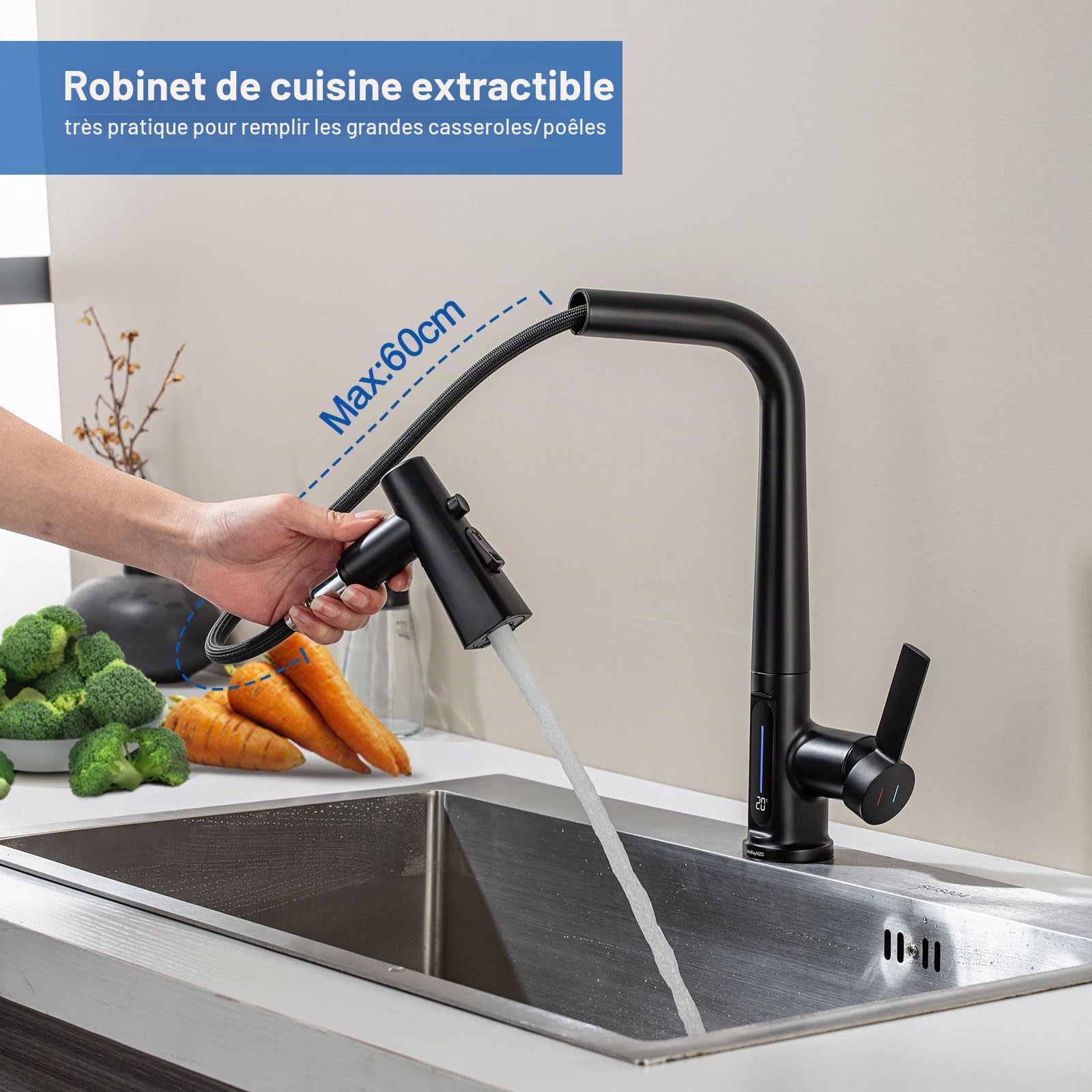 Robinet de Cuisine Extractible Noir avec Indicateur de Température LED