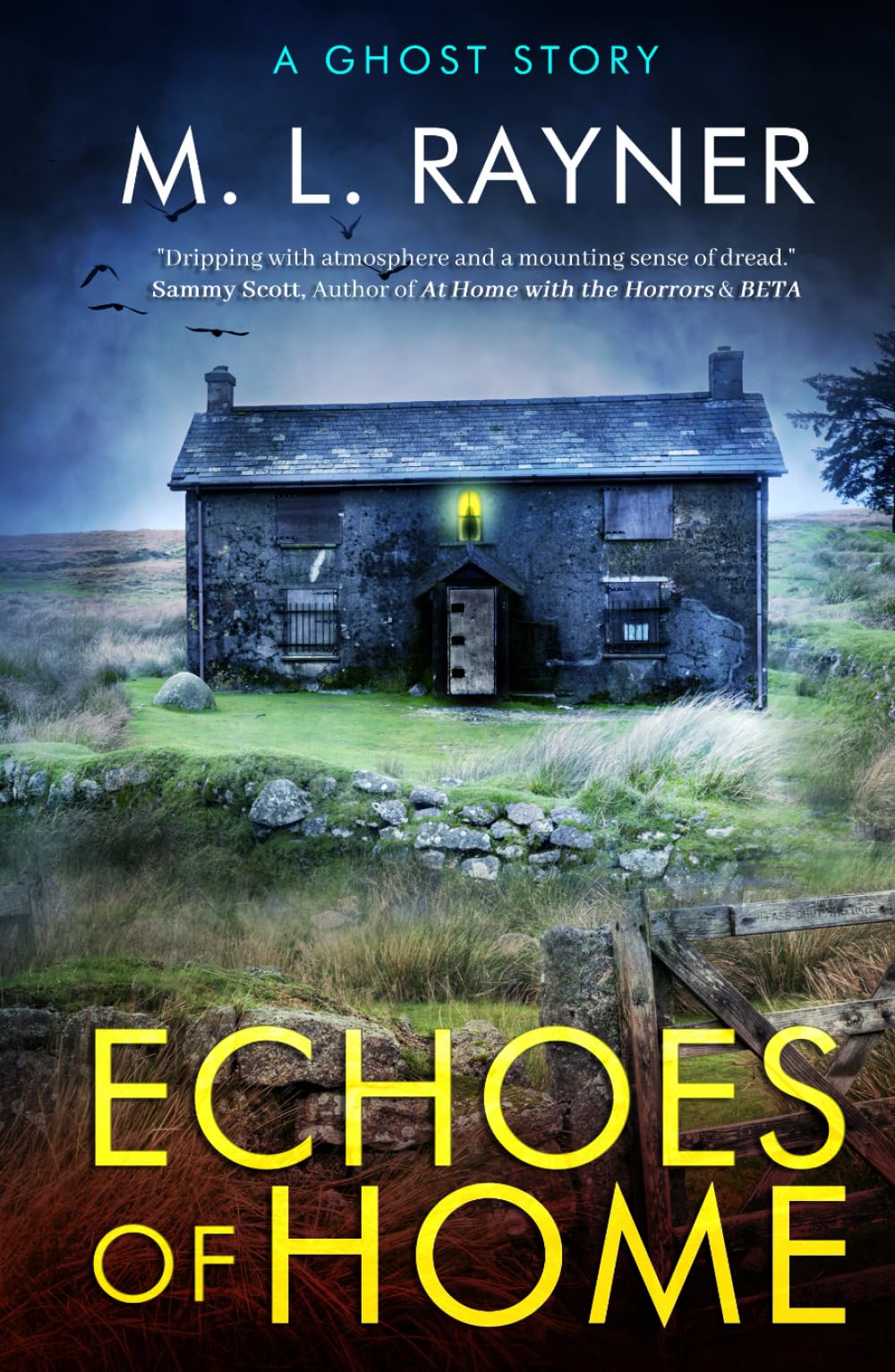 Echoes Of Home: A Ghost Story (Lost Soul Series)