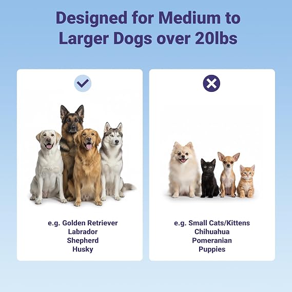 Pet Dental Care Kit