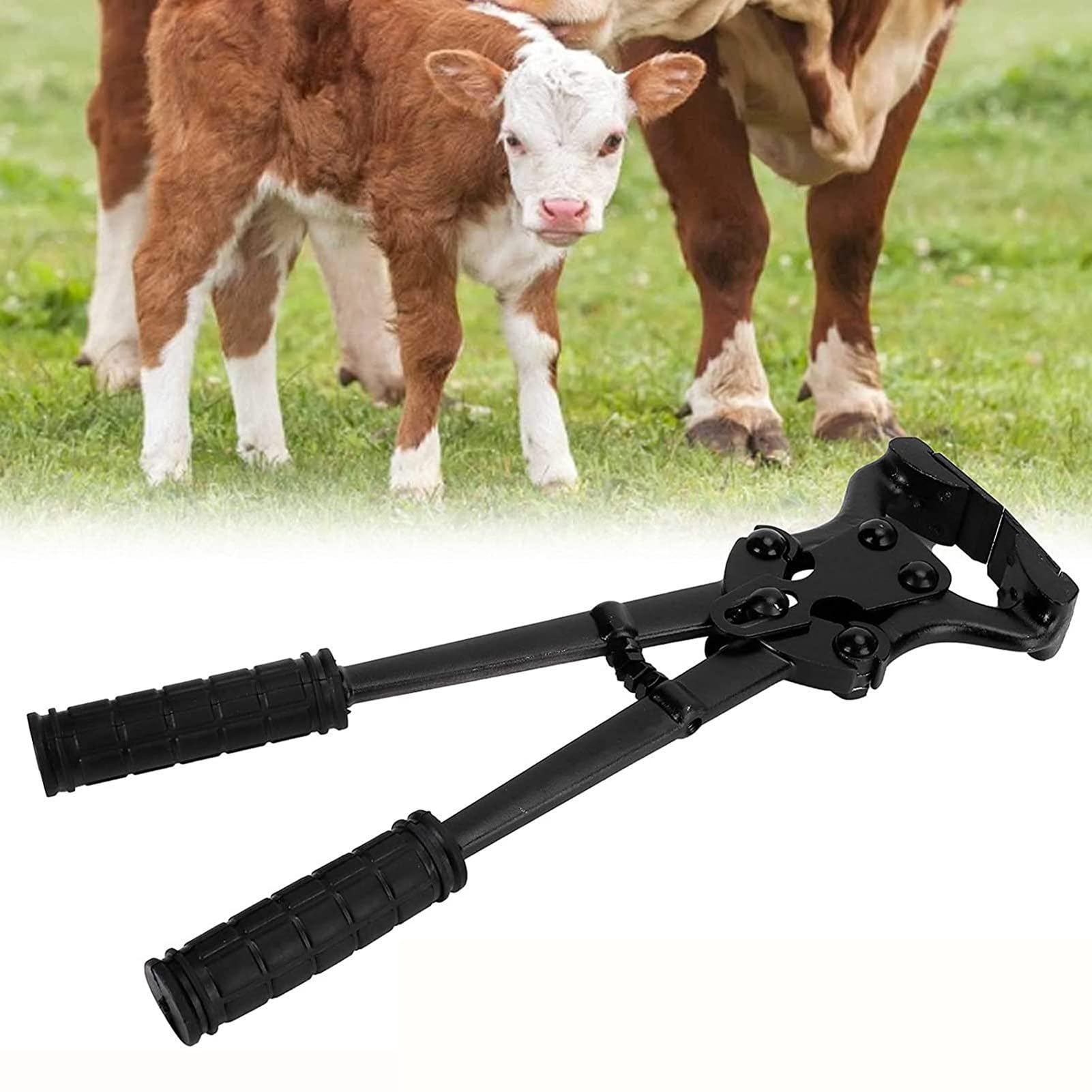 Alicates Para Cascos De Caballo Herramientas Y Dispositivos De Reparación | Tenazas De Acero Al Carbono Para Cabras Ovejas En Caballos Ganado Bovino Alpacas Y Ovejas