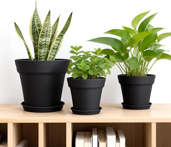 KINGLAKE 15cm Blumentöpfe mit Untersetzer - 6 Stück Pflanztöpfe Klein, übertopf Pflanztopf, Blumentopf Kunststoff Set, Topf Kleine Flower Pot für Pflanzen Kakteen Kräuter-Schwarz - 5