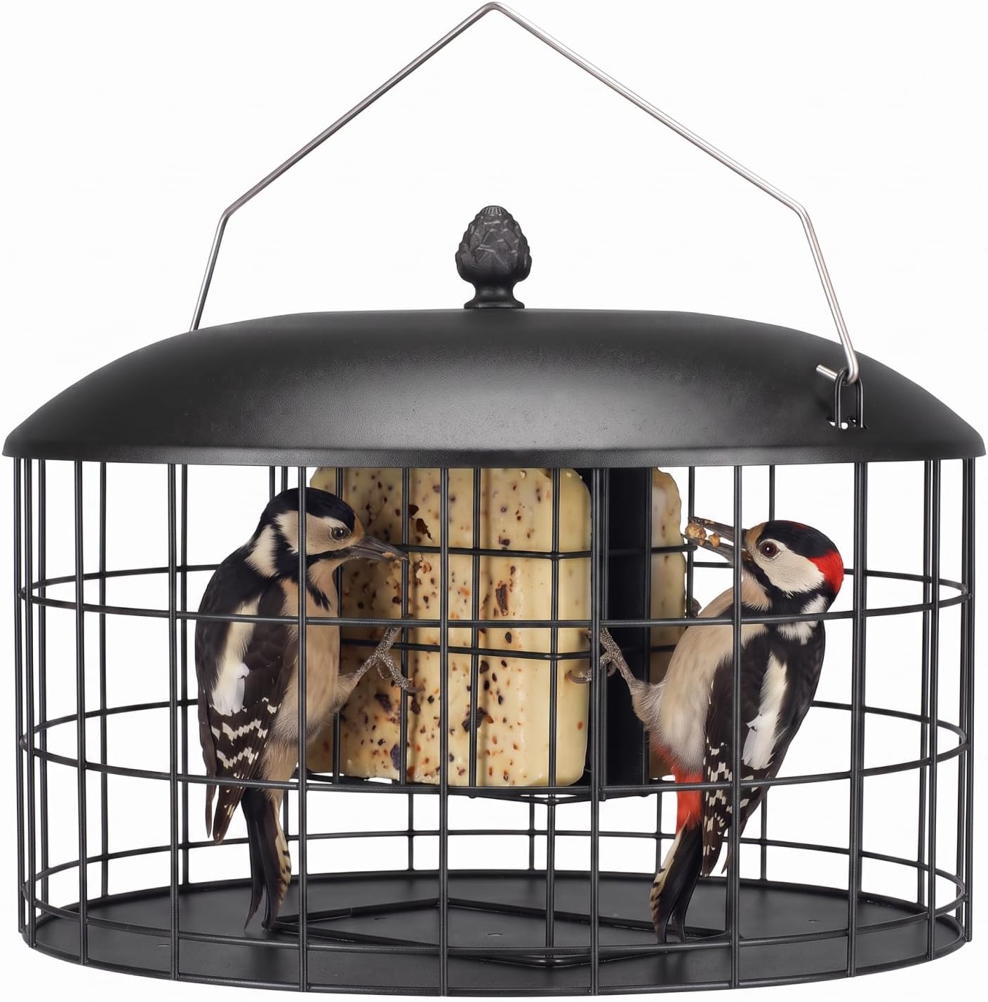 Veehoo Squirrel Proof Suet Feeder for Woodpeckers - All Metal Caged Feeder with 28% Wider Platform, Double Suet Capacity, Weatherproof