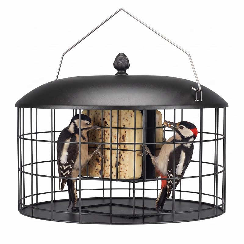 Comedouro para Aves em Metal Veehoo para 2 Bolos de Sebo, Preto