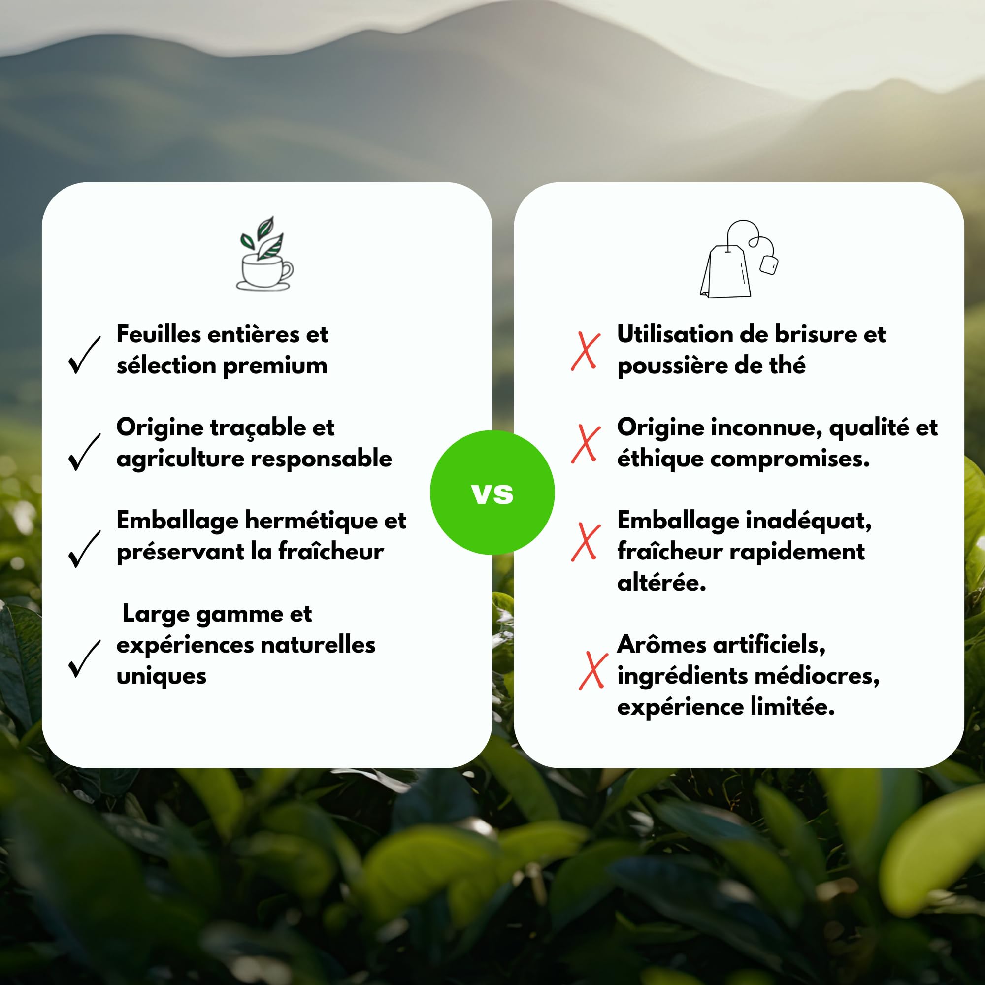 Tè Verde biologico aromatizzato Menta Marrakesch - 100g (40 tazze) - Tè sfuso 100% agricoltura biologica - Mes-Tè