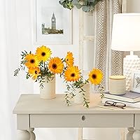 Vista 5 de DII Kitchen Accessories Collection, juego de recipientes de cerámica mate texturizados, color blanco antiguo, color vid, 3 piezas