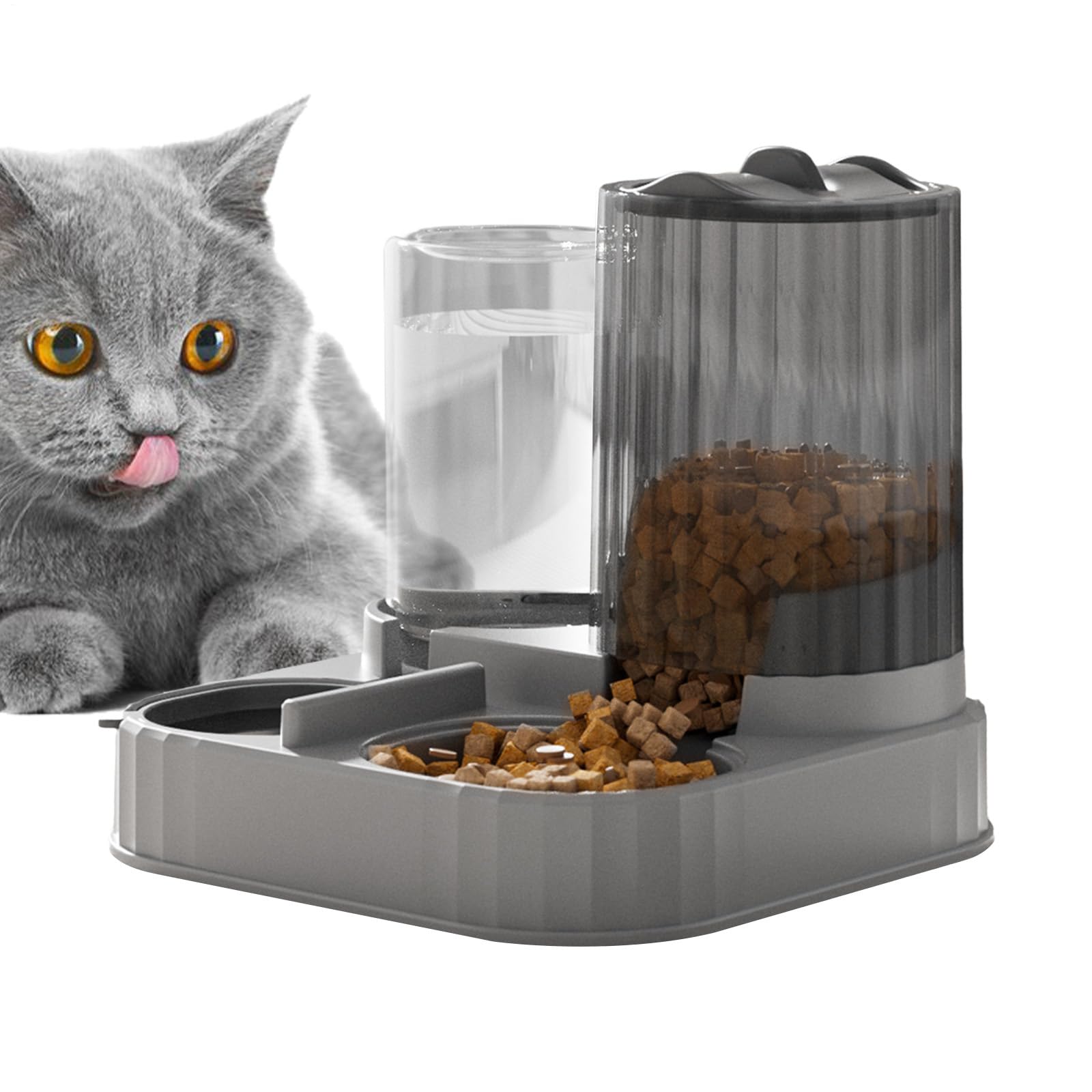 Distributeur de nourriture pour chat et chien pour nourrir votre animal pendant vos absences