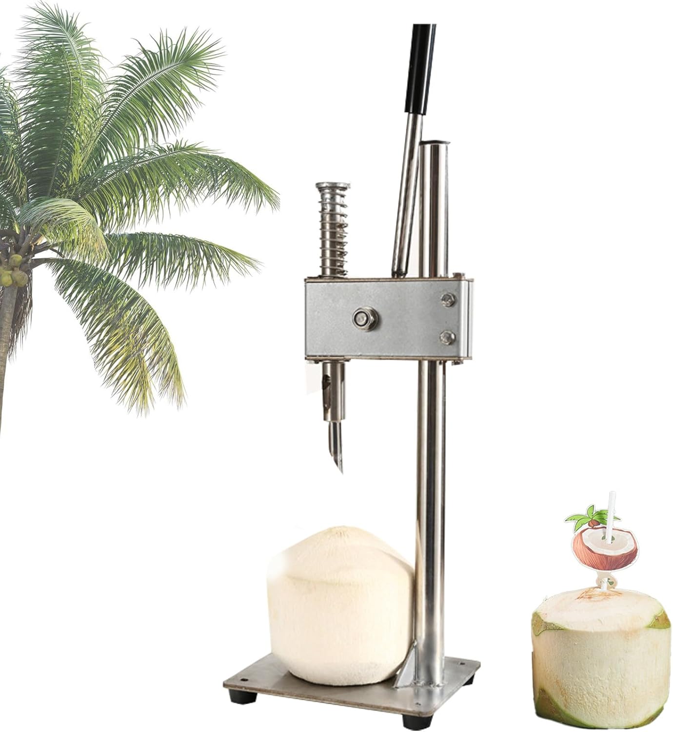 Stainless Steel Oyster & Coconut Clam Opener, Vertical Coconut Opener Tool,Shucker Shellfish Shell Opener, Clam Opener Machine, Seafood Tools,Opencoconuts-Small