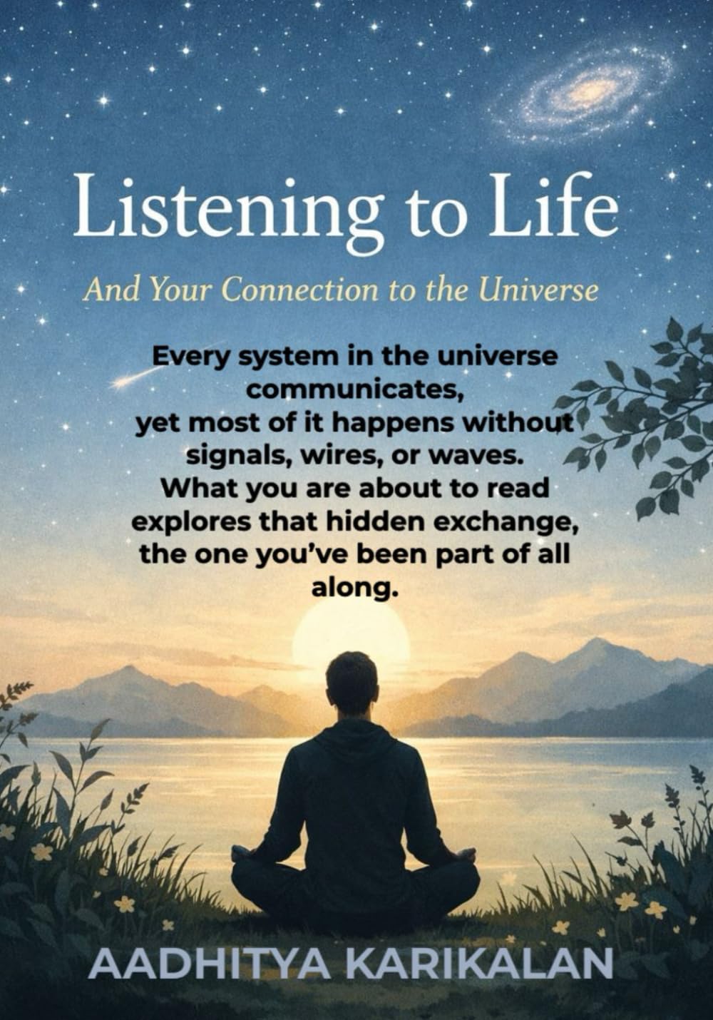 Listening to Life And Your Connection to the Universe: Each day is your chance to shine brighter than yesterday!