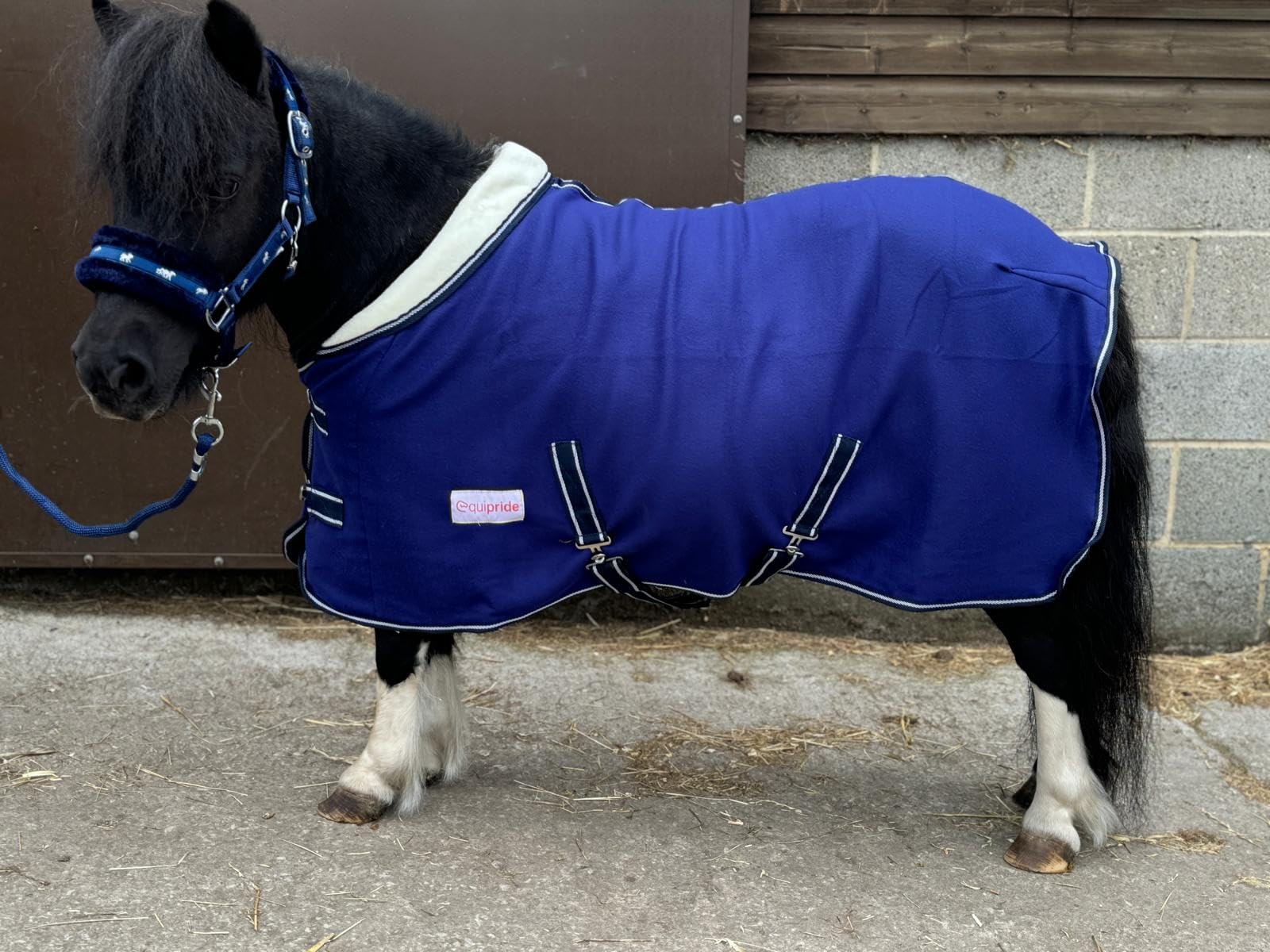 Equipride Horse Fleece Show Rug, with Collar and Chest Closure, for Shetland and Pony Horses Size 4'0" to 6'9" (Navy, 5'6")