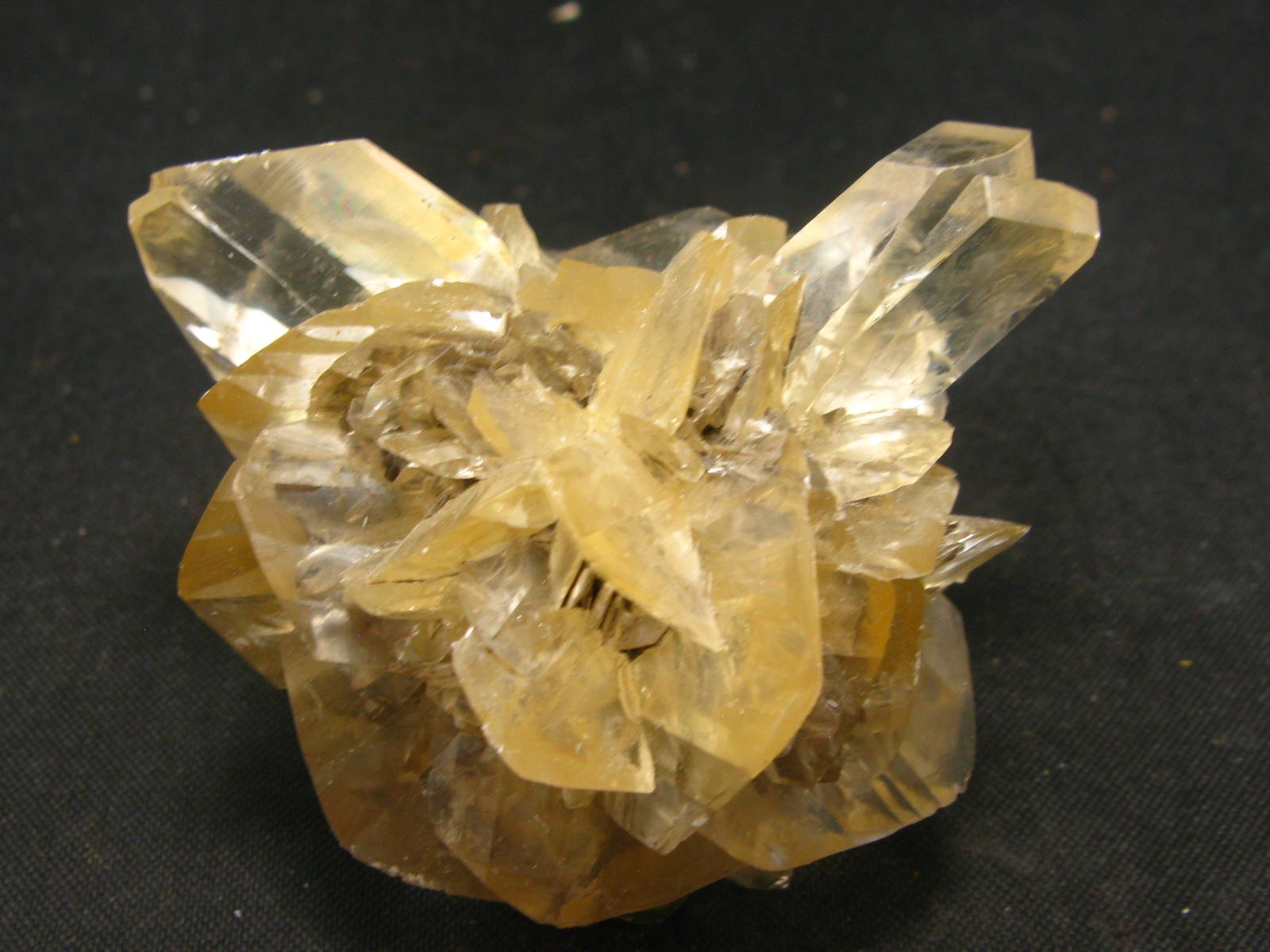 Gypsum Rose Crystal From Manitoba Canada - 2.0"