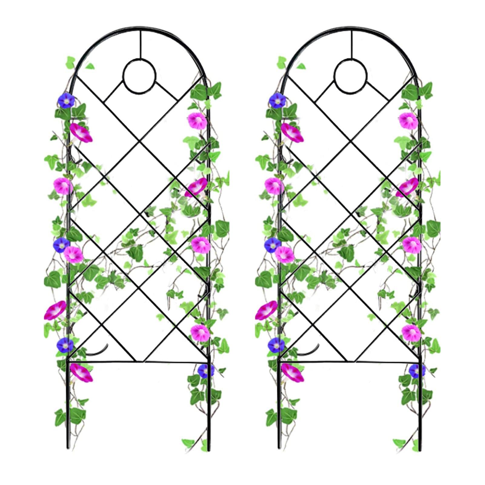Buy RedleTEK 2PCS Metal Garden Trellis For Climbing s Climbing Rattan