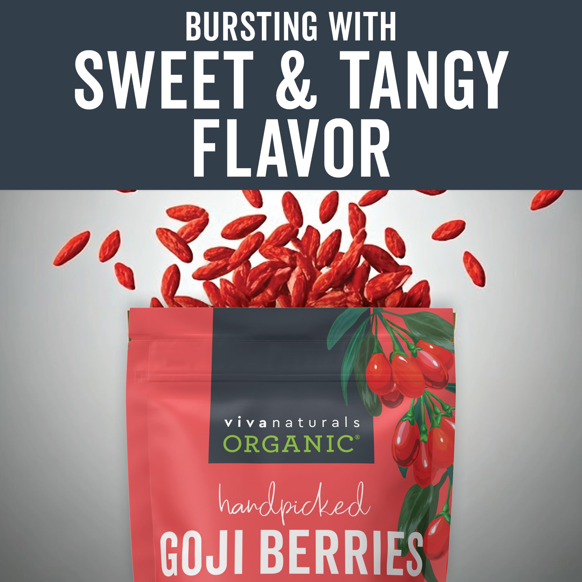 Organic Dried Goji Berries, 1 lb Non-GMO and Vegan Organic Berries, Dried Berries Perfect for Goji Berry Powder, Tea, Smoothies, Baking and Snacks, Goji Berries Organic Dried (454 g) - Image 2