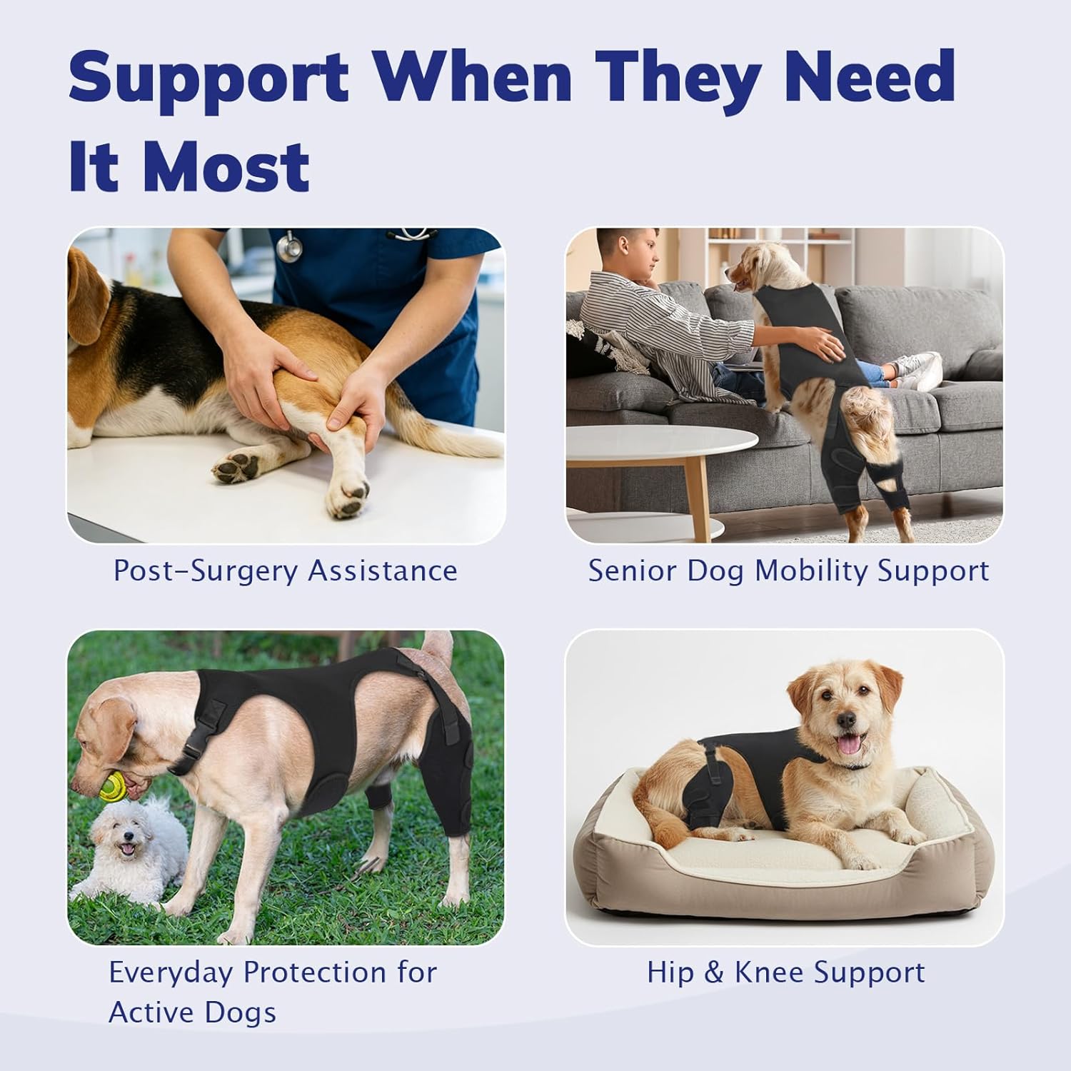 Dog Knee Brace for Torn ACL Hind Leg- Dog Leg Support Brace with Metal Stabilizers for Torn CCL, Limping, Luxating Patella, Ligament Injuries, Hip Dysplasia& Arthritis,XXL&Vest5