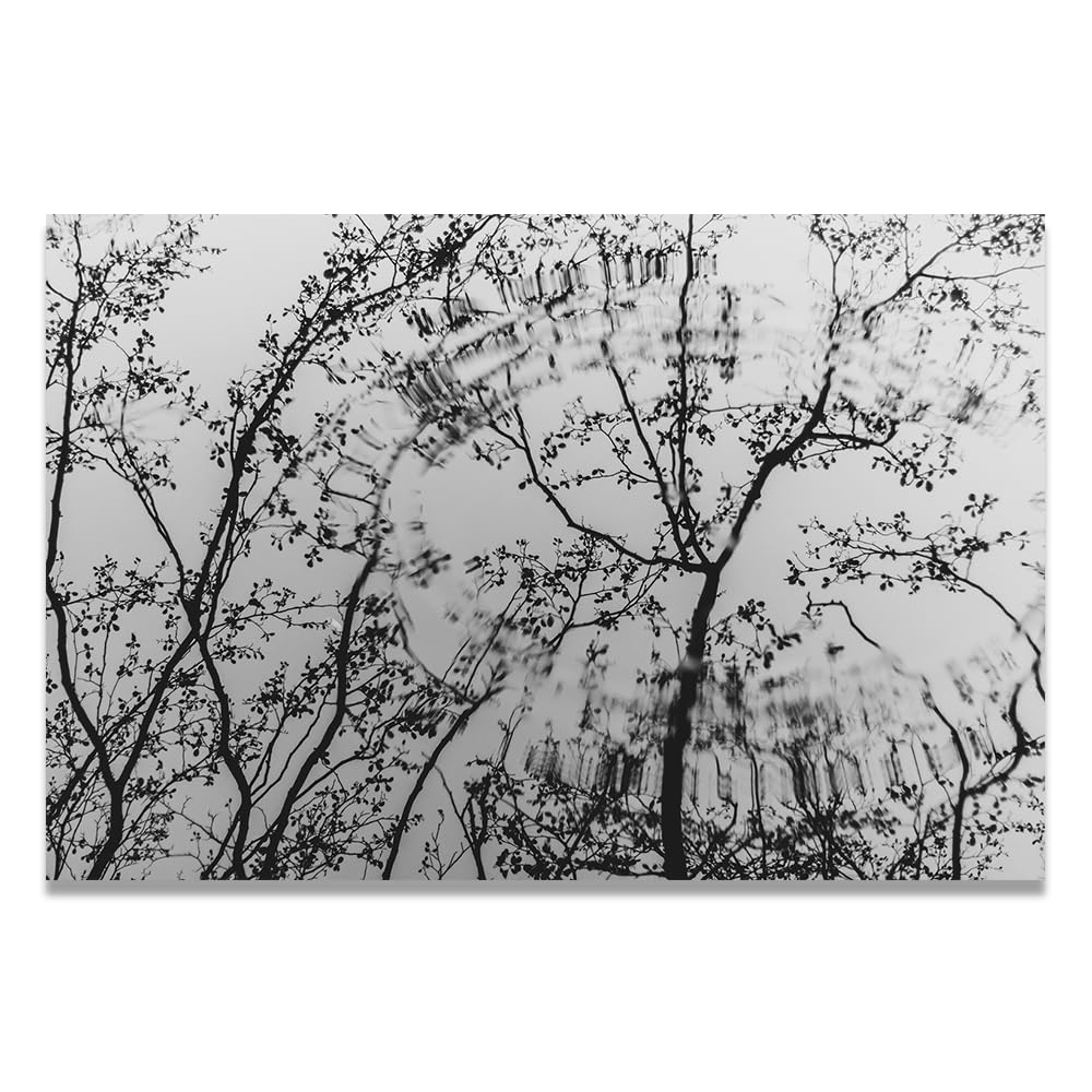 VHdfgTY The Reflection Of The Tree BranchesModern Mountain Landscape Wall Art Canvas Nature Print for Living Room 60x90cm Unframed