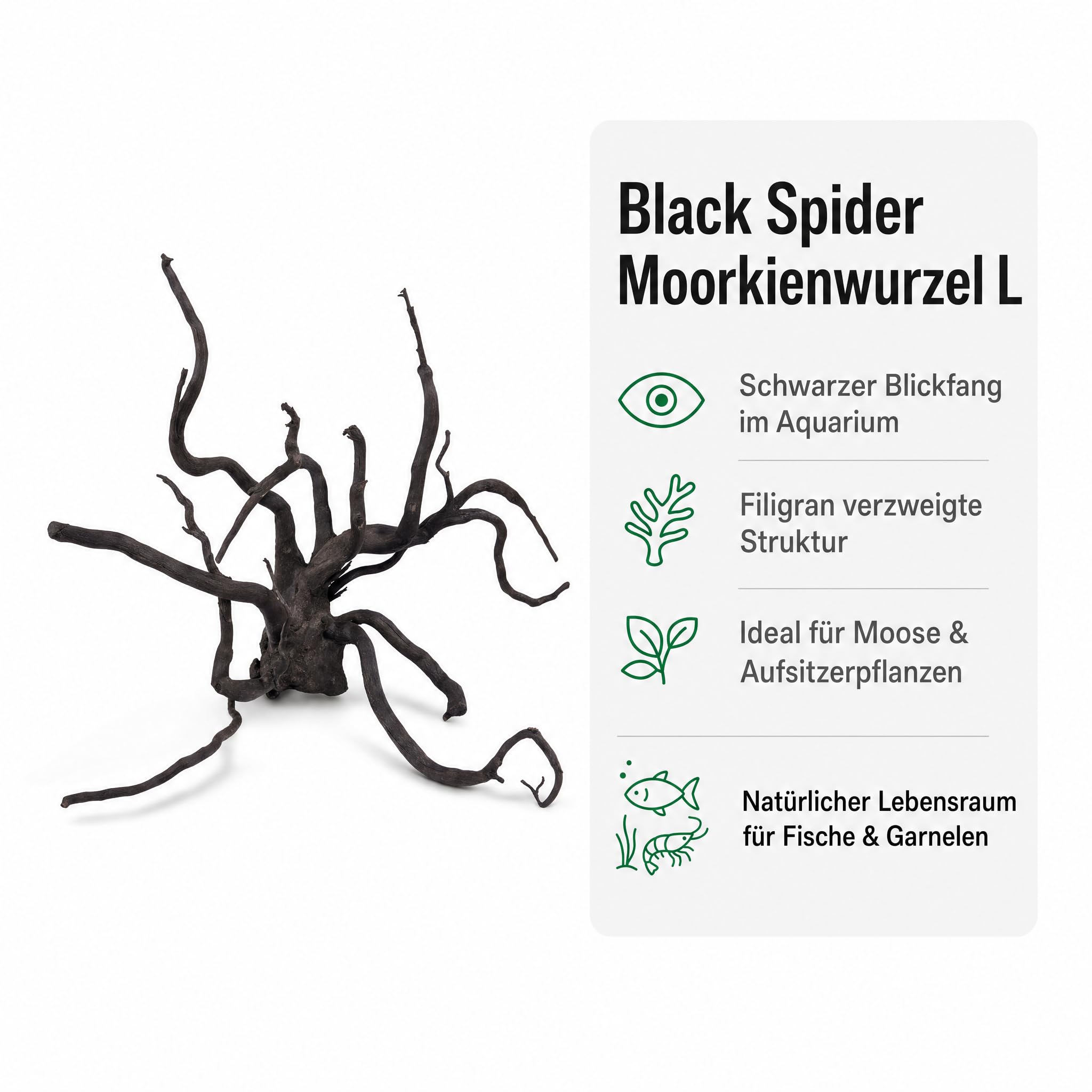 AquaOne Aquarium Wurzel Black Spider L 35–50 cm, Moorkienholz schwarz gefärbt, filigran verzweigt, für Aquascaping & Aufsitzerpflanzen, handverlesenes Unikat für Süßwasseraquarien und Terrarien