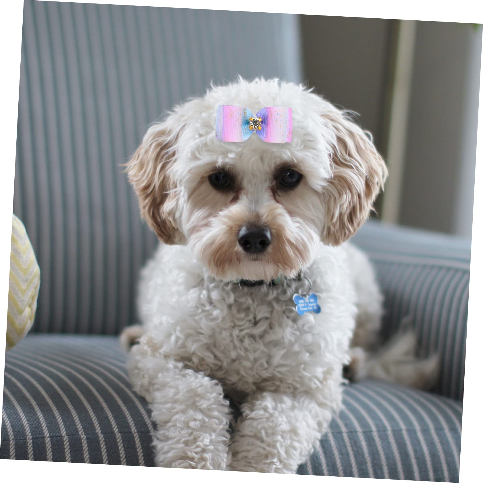 BESPORTBLE 100 Piezas Flor de Cabeza de Mascota Perros Accesorios decoración para Mascotas Arcos de Cabeza de Accesorios para el Pelo de Mascotas Lazo de Goma para Arcos de