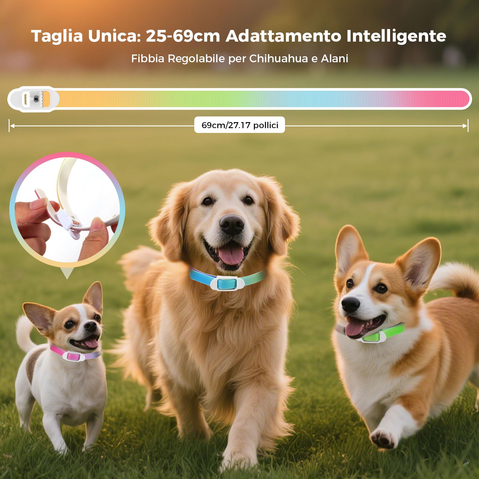 Collare Antiparassitario Per Cani, 69cm Impermeabile & Regolabile, Antipulci Per Cani Previene la Leishmaniosi Efficace 8 Mesi Colorato