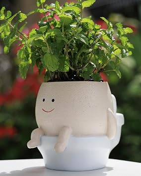 Smily Face Planter Pot Funny Toilet Plant Pots Cute Resin Flower Head Planters Succulent Pots for Indoor Outdoor Plants Unique Bathroom Planter with Drainage Hole Large