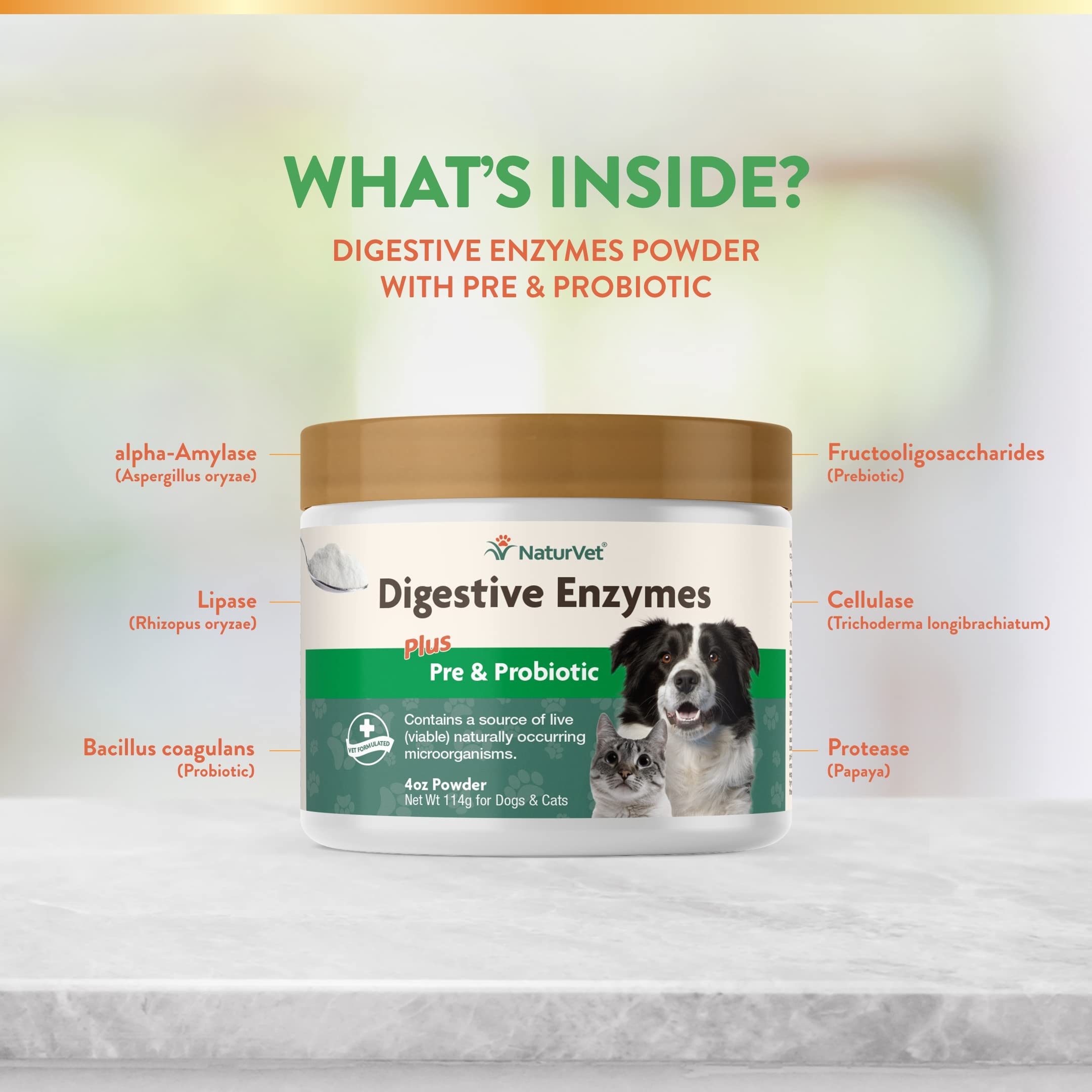 enzymes plus for dogs