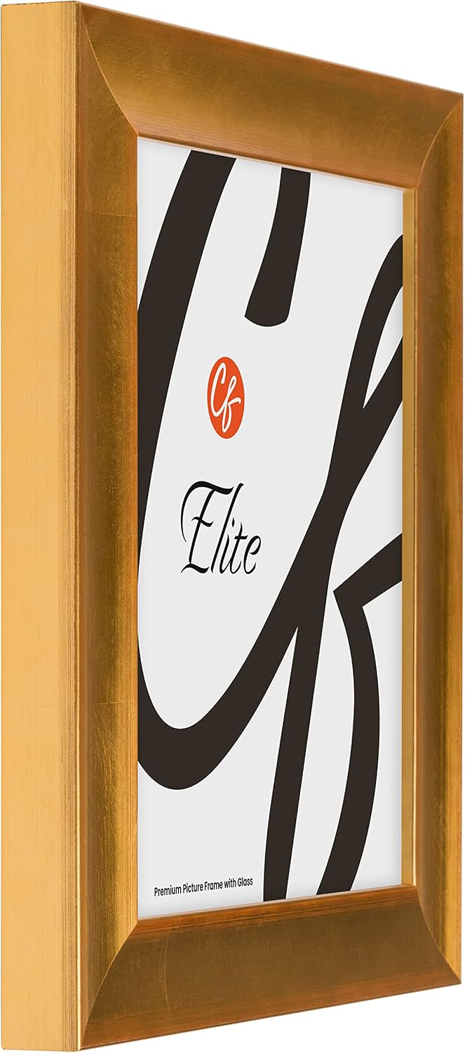 Craig Frames Elite Ember Light, 18x24 Picture Frame With Glass, Brushed Gold
