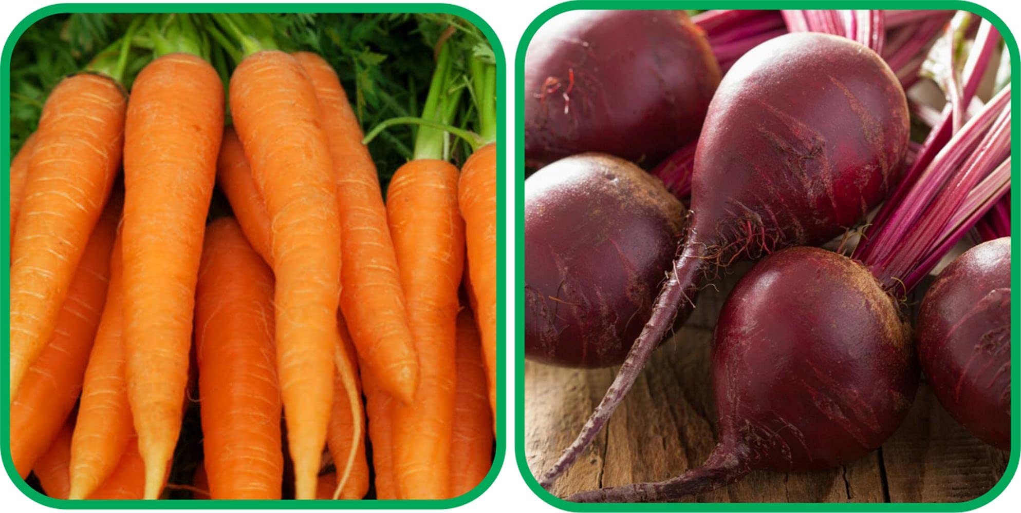 See full amazon price history chart for Aero Seeds Beetroot (100 Seeds) And English Carrot (100 Seeds) Vegetable Seeds Pack Aero Seeds Beetroot (100 Seeds) And English Carrot (100 Seeds) Vegetable Seeds Pack (B0989XBDQS) Amazon Price History, Amazon Price Tracker