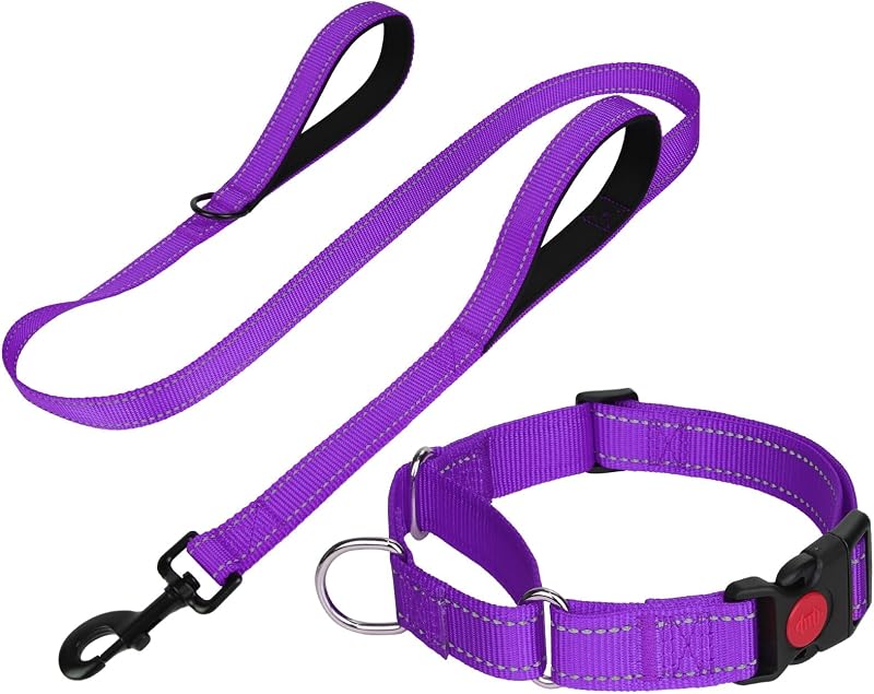 Coleira Martingale para Cães com Guia de Duas Alças e Fivela com Trava FunTags XS