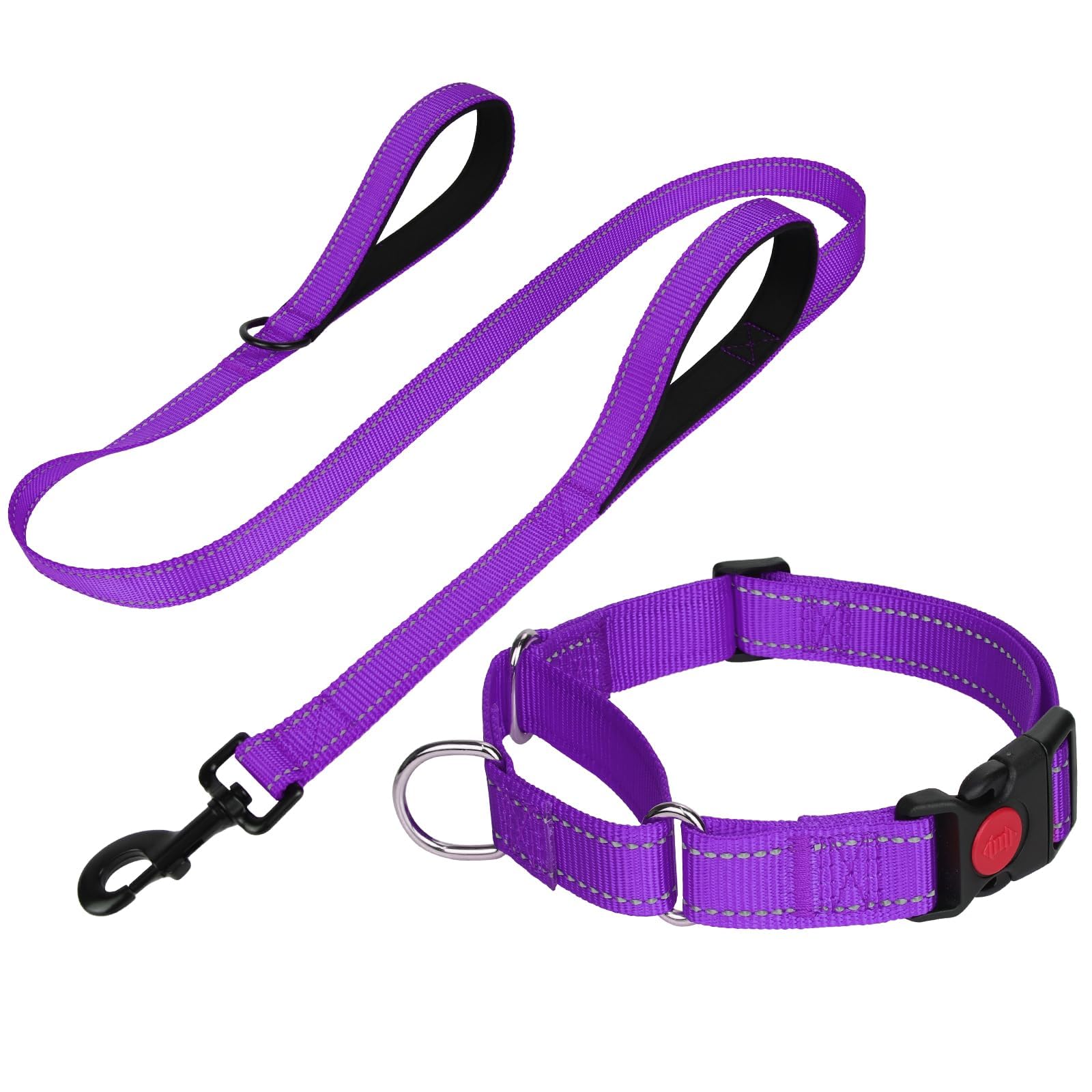 FunTags Reflective Purple Martingale Collar (18.5"-25") & Leash (5ft x 1") for Large Dog, Escape-Proof with 2 Handles, Safe Night Walks, Durable Nylon, Quick-Release Buckle