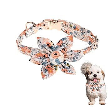 LETSQK Adjustable Dog Collar, Dog Collar for Female, Floral Pet Collar with Detachable Flower Accessory for Small, Medium and Large Dogs, Orange, L