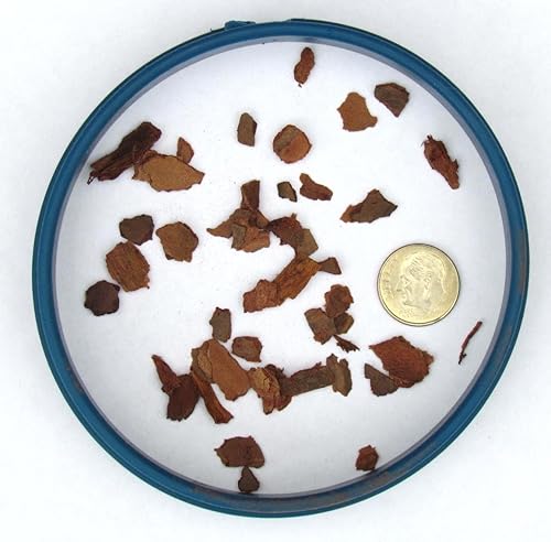 Miniatura 4 de Corteza de pino bonsái de 14 de pulgada, 1 galón