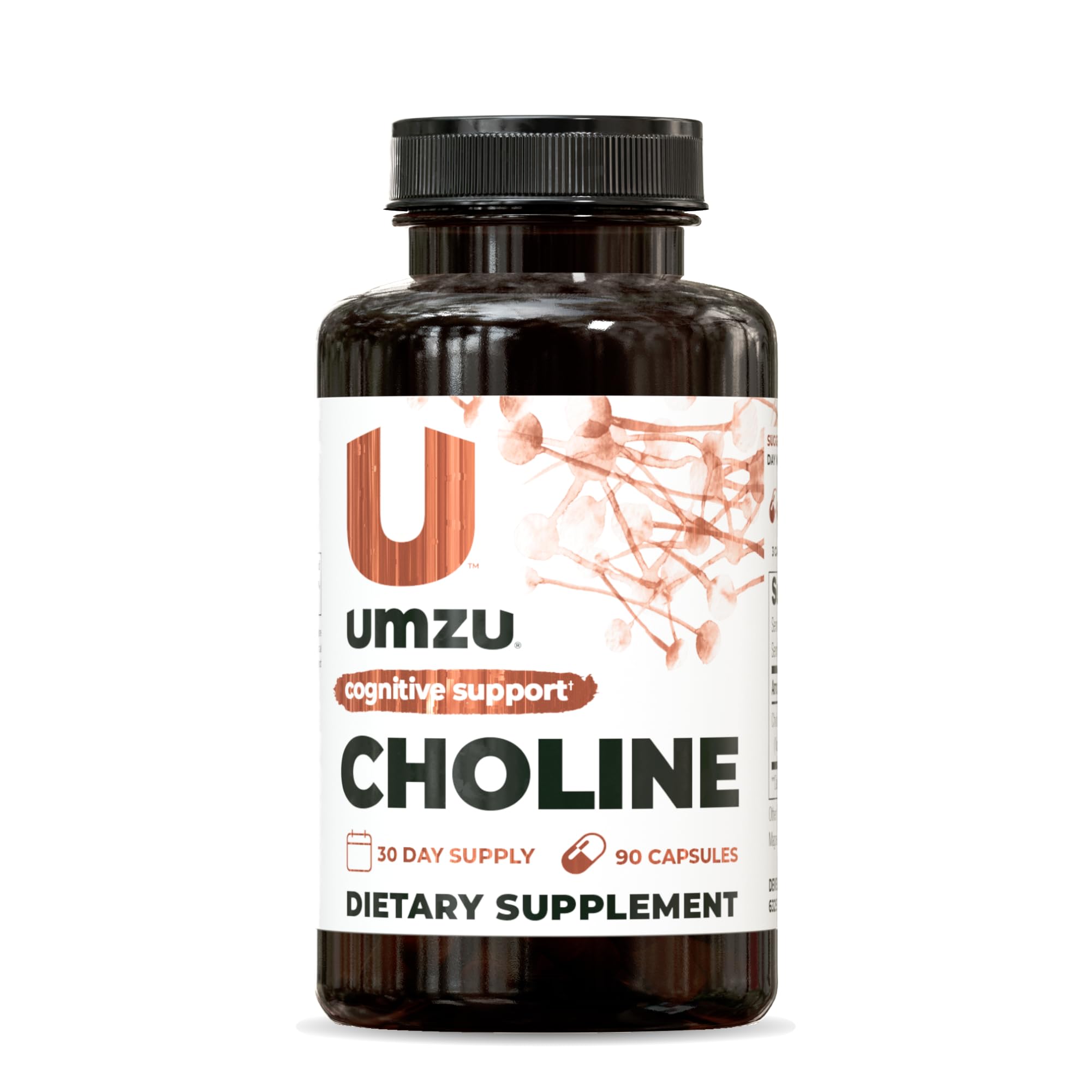 Choline - Cognitive & Hormonal Supplement to Support Cognition, Nervous System Function, Healthy Hormonal Balance, and Metabolism - (30 Day Supply 90 Capsules)